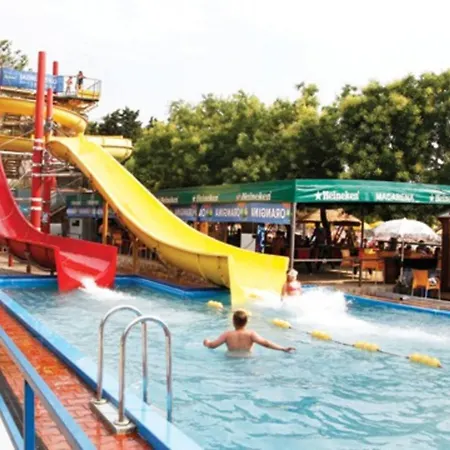 Djurdja * مورتير