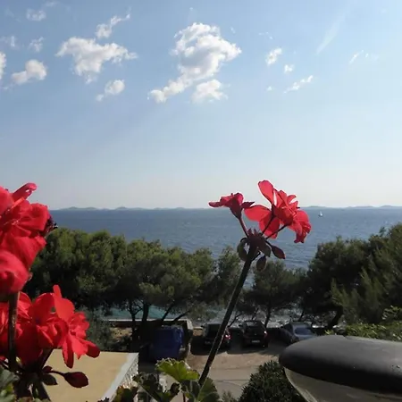 Djurdja By The Sea