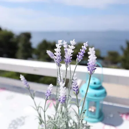 Djurdja By The Sea Apartamento *