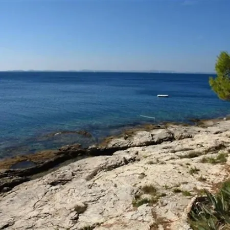 Djurdja - 20 M From