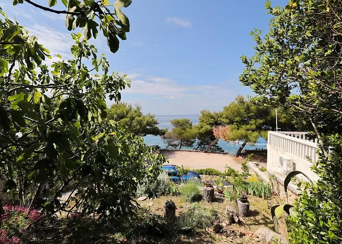 Djurdja By The Sea *