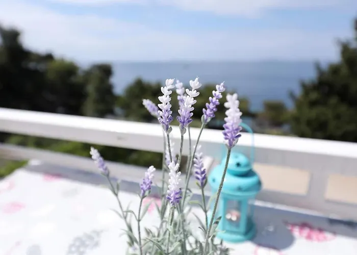 Djurdja By The Sea Διαμέρισμα *